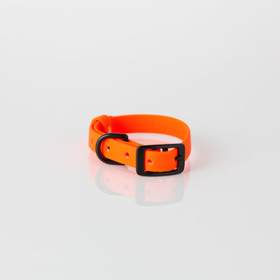 Collar – high viz orange