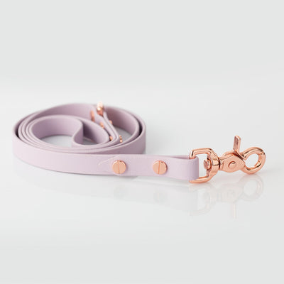 Lead – lexia lavender