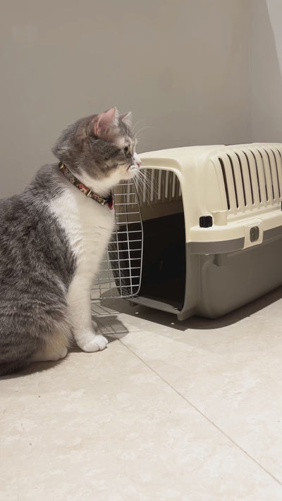 Deluxe pet carrier (Dog travel crate can hold upto 10 KG)