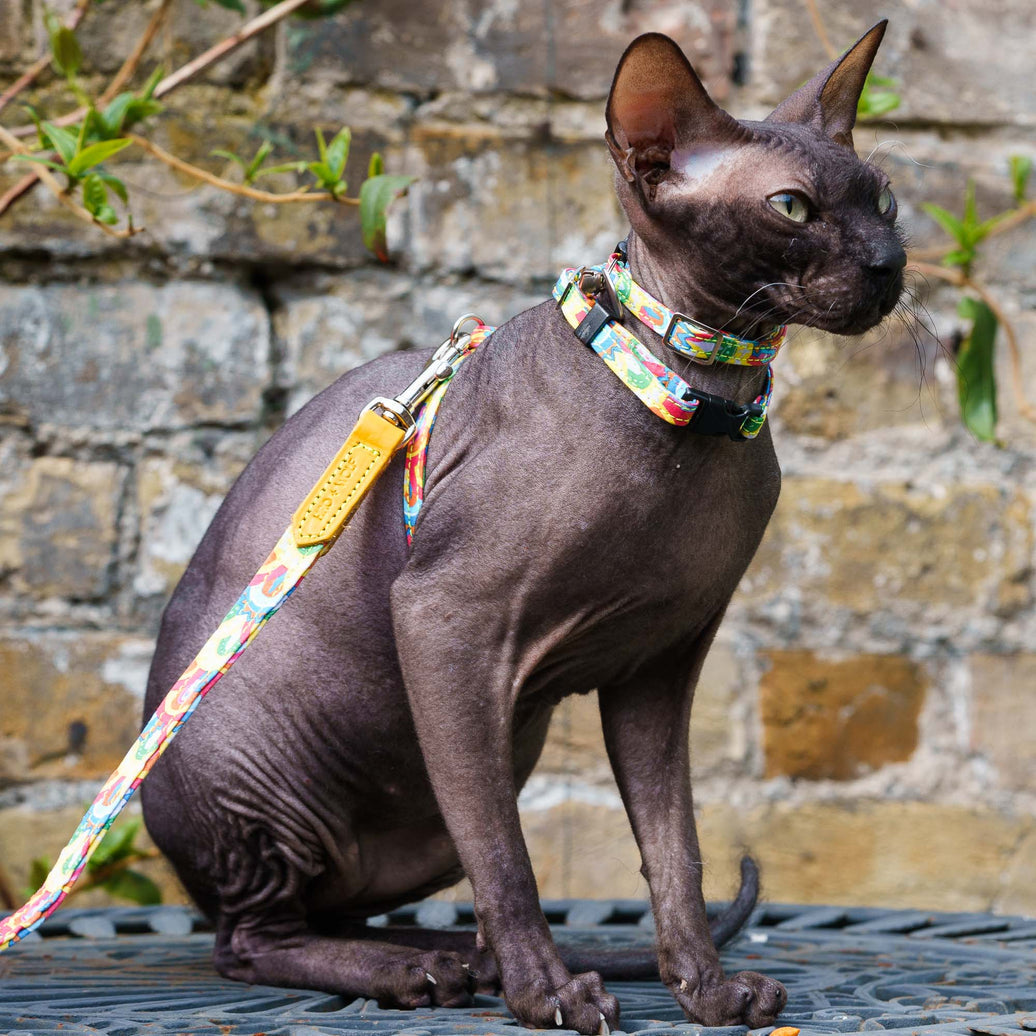 Over the rainbow breakaway cat collar