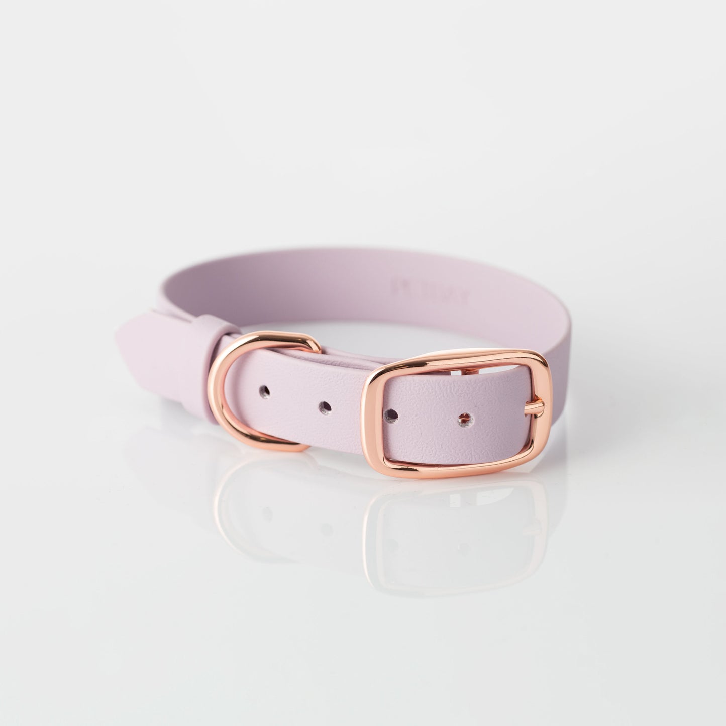 Collar – lexia lavender