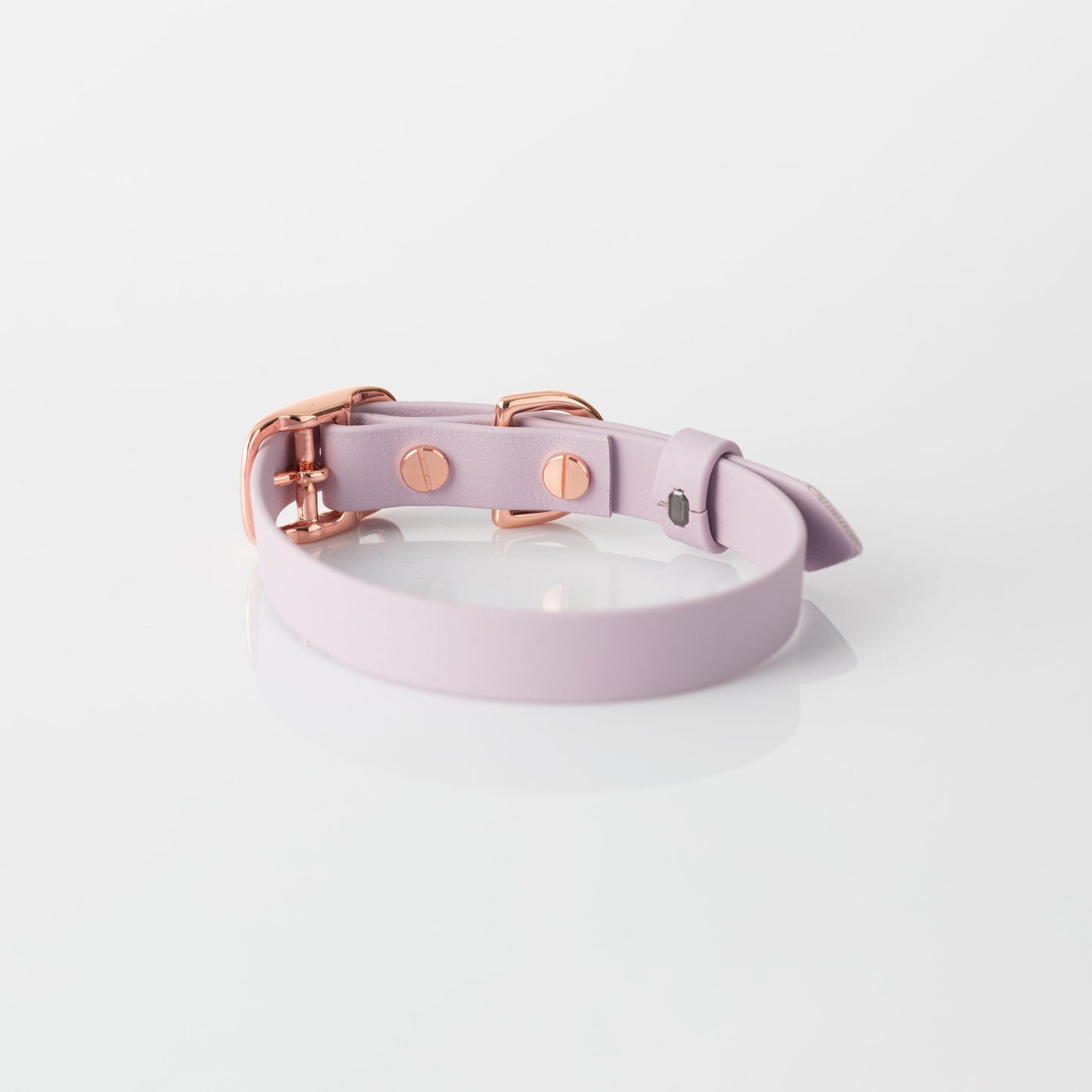 Collar – lexia lavender