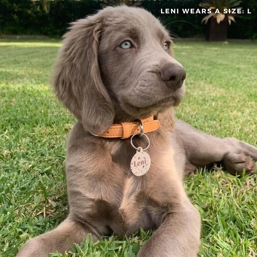 Collar – peach