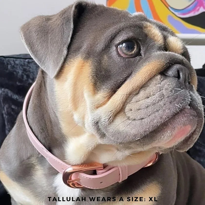 Collar – pale pink