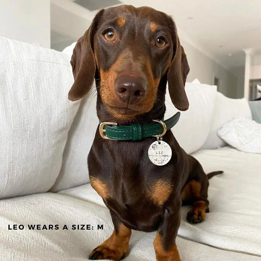 Collar – bottle green