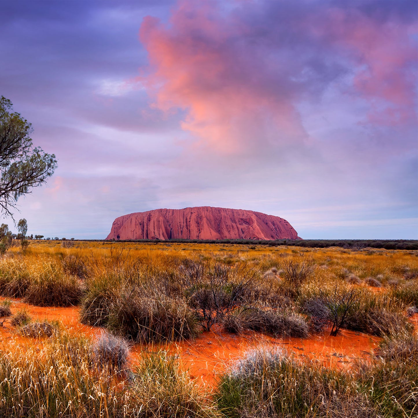 Lead – uluru burgandy