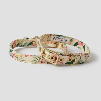 Cottage garden designer dog collar