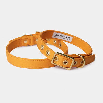 Harvest yellow recycled canvas dog collar