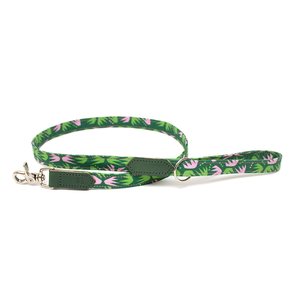 Combs classic dog lead