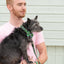 Combs classic dog lead
