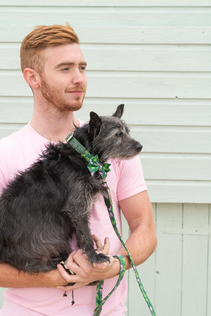 Combs classic dog lead