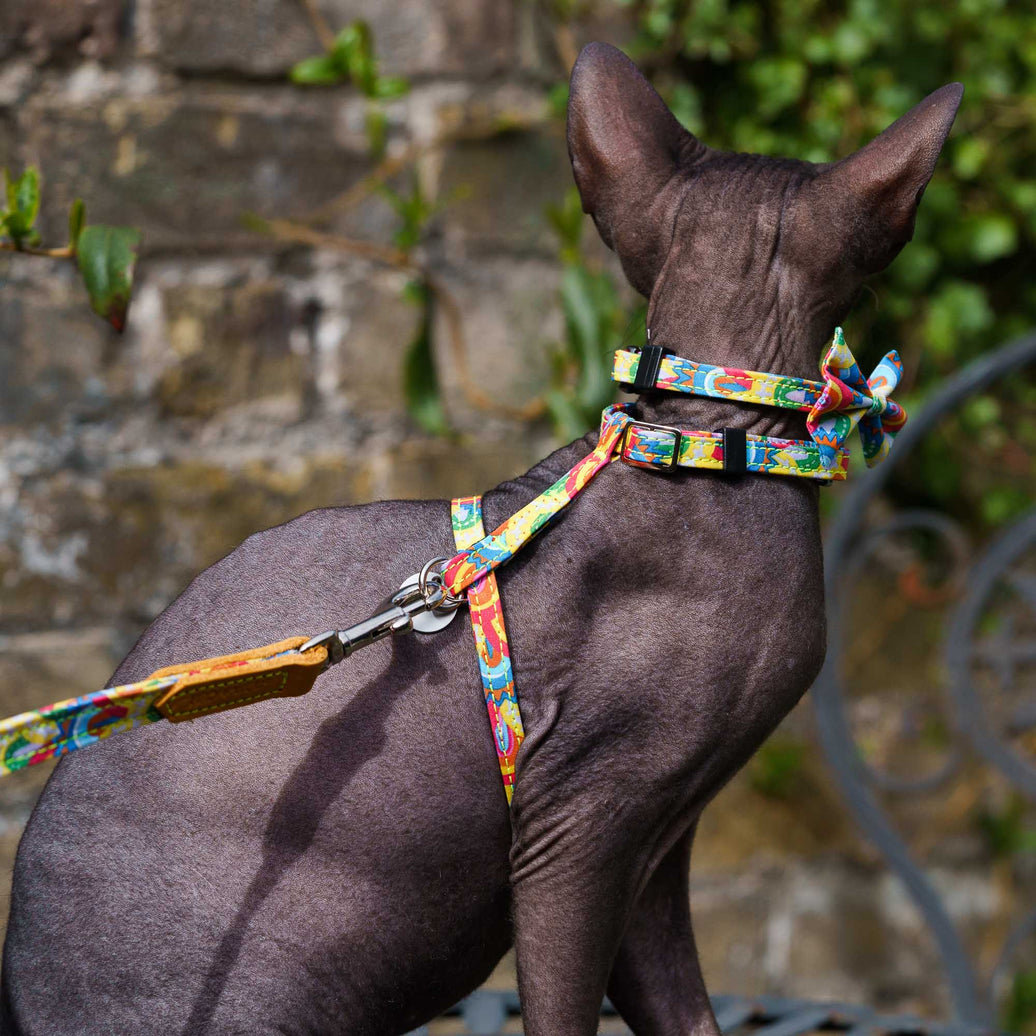 Over the rainbow breakaway cat collar