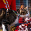 Over the rainbow breakaway cat collar