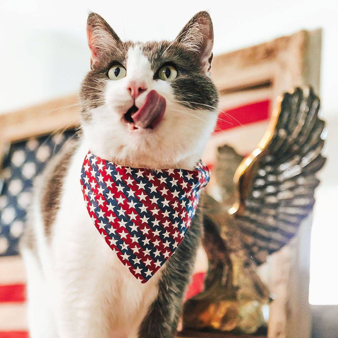 Americana - 4th of July Cat Collar