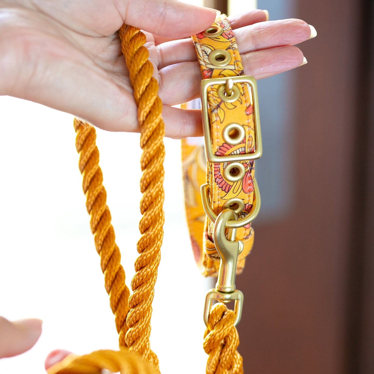 Bohemian sunset designer dog collar