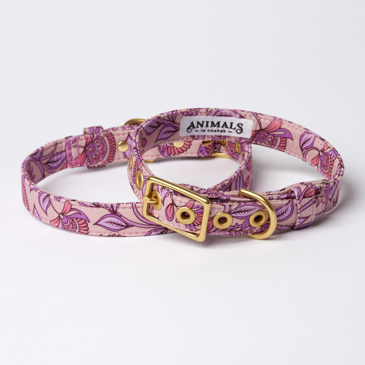 Bohemian sunrise designer dog collar