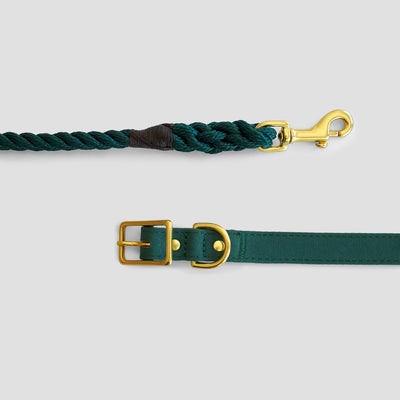 Forest green recycled canvas dog collar
