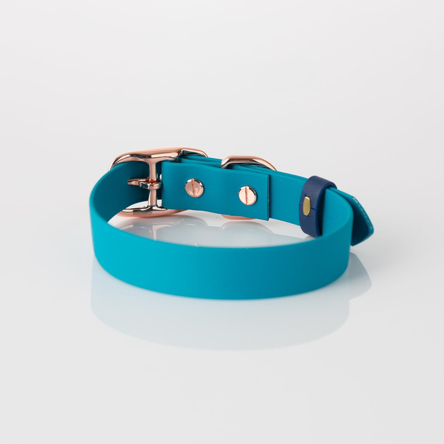 Collar - Bondi Blue