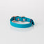Collar - Bondi Blue