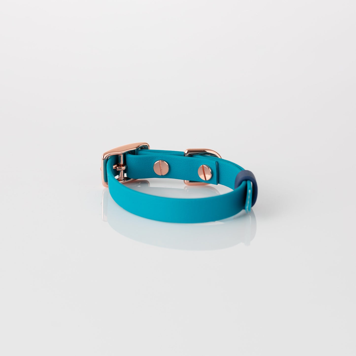 Collar - Bondi Blue