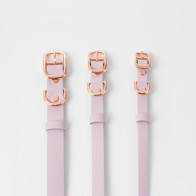 Collar – lexia lavender