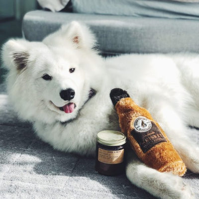 Zippy Paws | Aesthetic Happy Hour Crusherz - Whiskey bottle dog toy