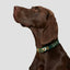 Winter garden designer dog collar