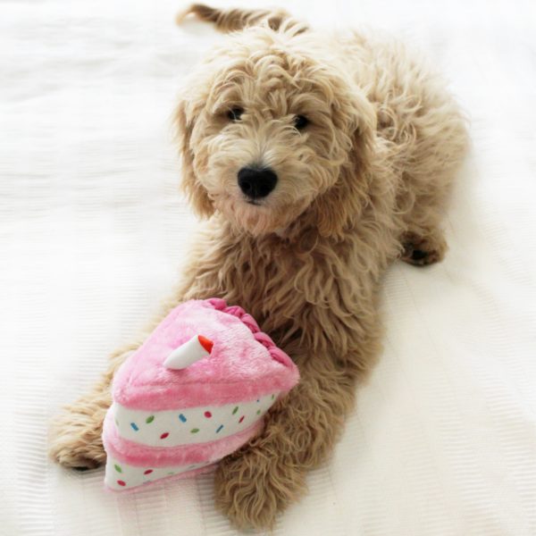 Zippy Paws Aesthetic dog toy - Birthday cake - Pink
