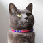 Shuka red cat collar