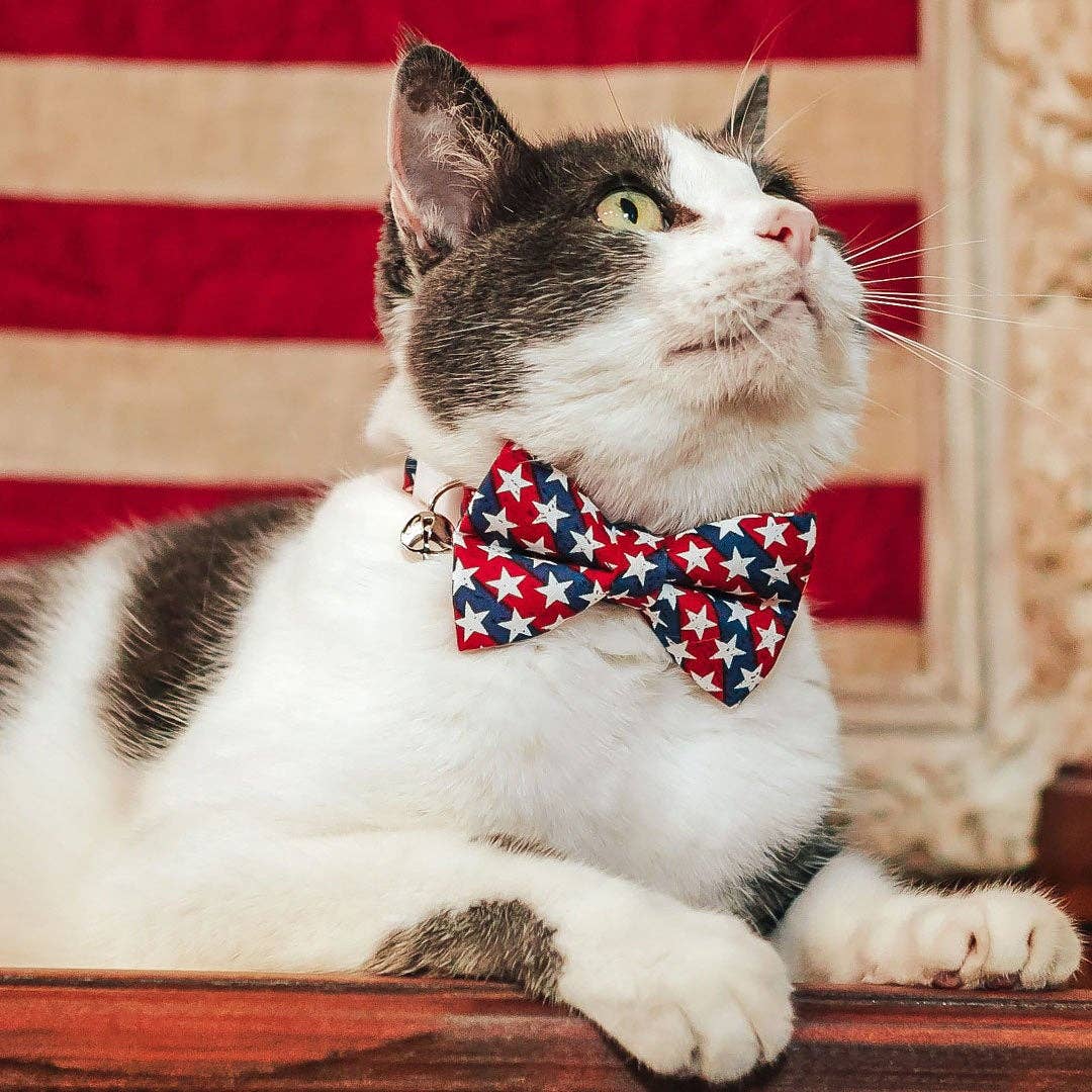 Americana - 4th of July Cat Collar