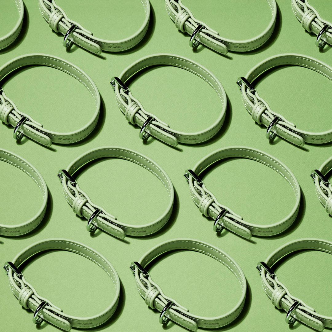 Collar – sage