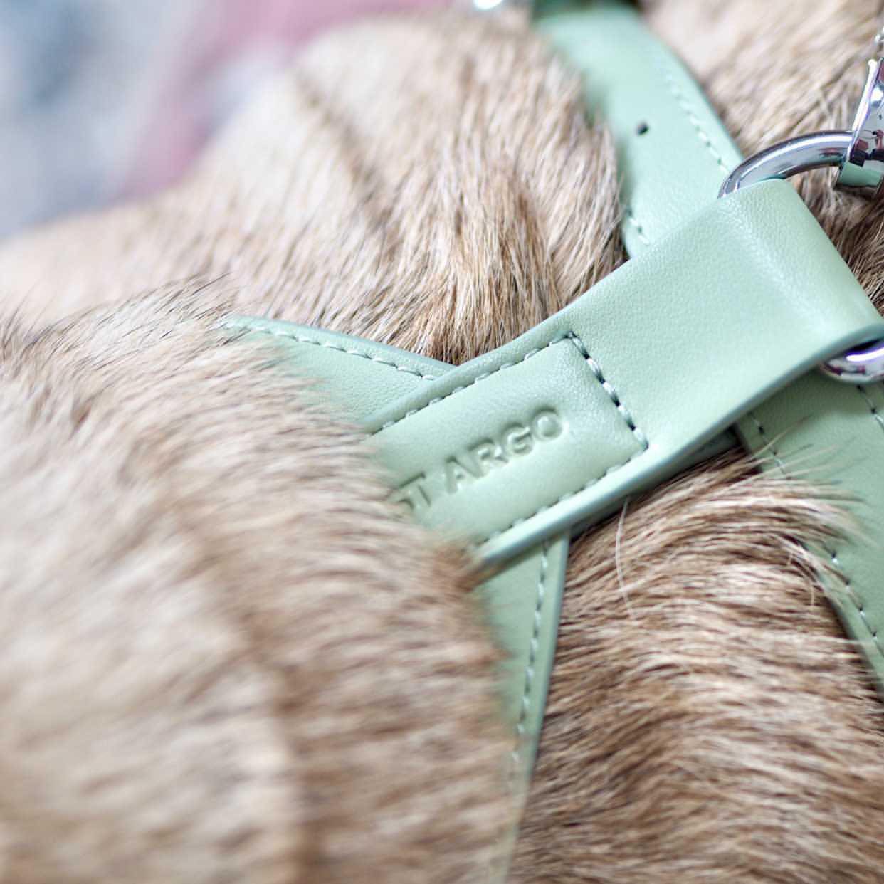 Harness – sage