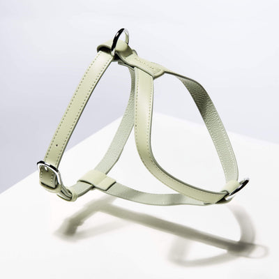 Harness – sage