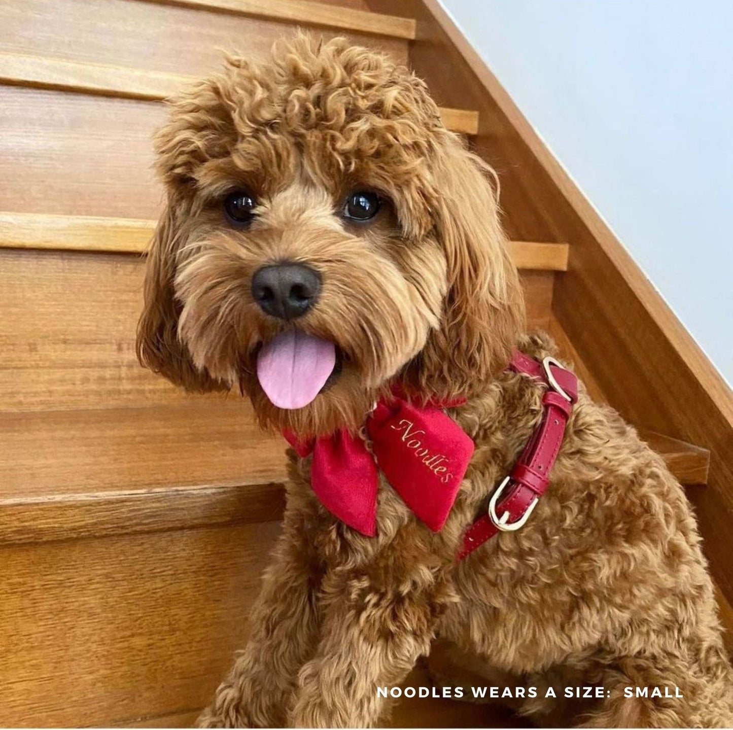 Harness – ruby red