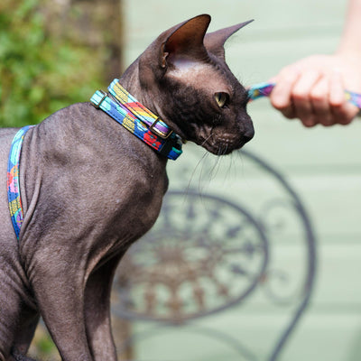 Wizard of dog breakaway cat collar