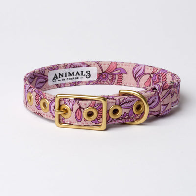 Bohemian sunrise designer dog collar