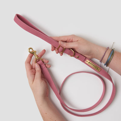Dusty pink easy tie flat dog leash