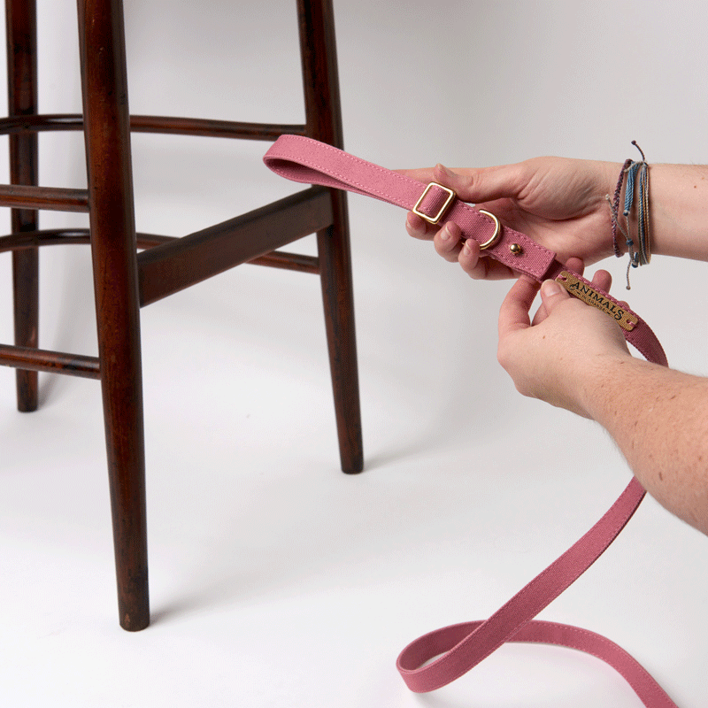 Dusty pink easy tie flat dog leash