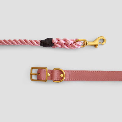 Dusty pink recycled canvas dog collar