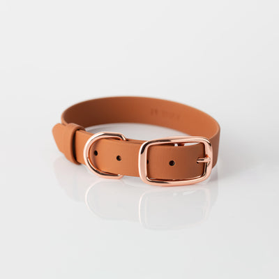 Collar – sellicks beige