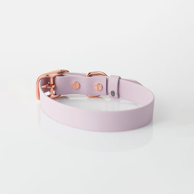 Collar – lexia lavender