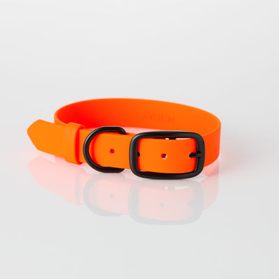 Collar – high viz orange