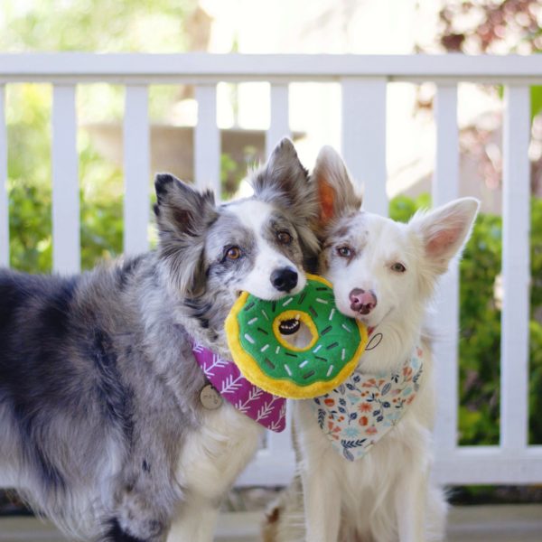 Zippy paws donutz - Mint Chip | Aesthetic dog toys