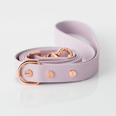 Lead – lexia lavender