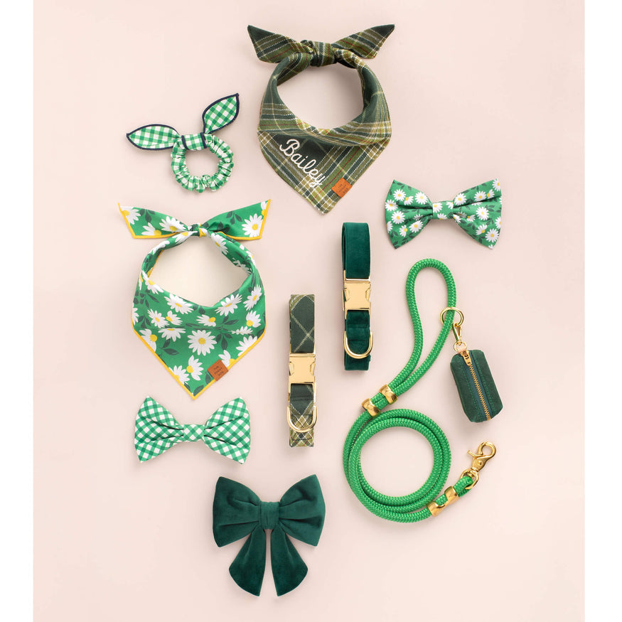Forest green velvet dog collar