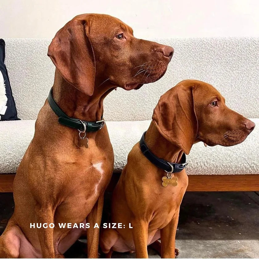 Collar – bottle green