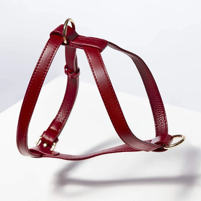Harness – ruby red