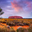 Lead – uluru burgandy