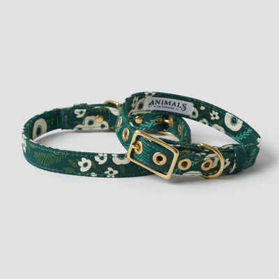 Winter garden designer dog collar