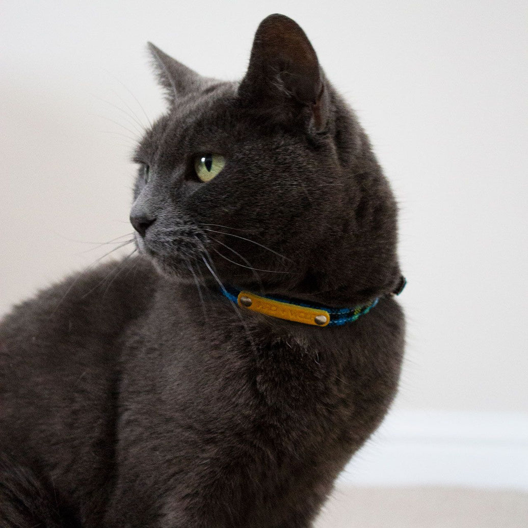 Shuka blue cat collar